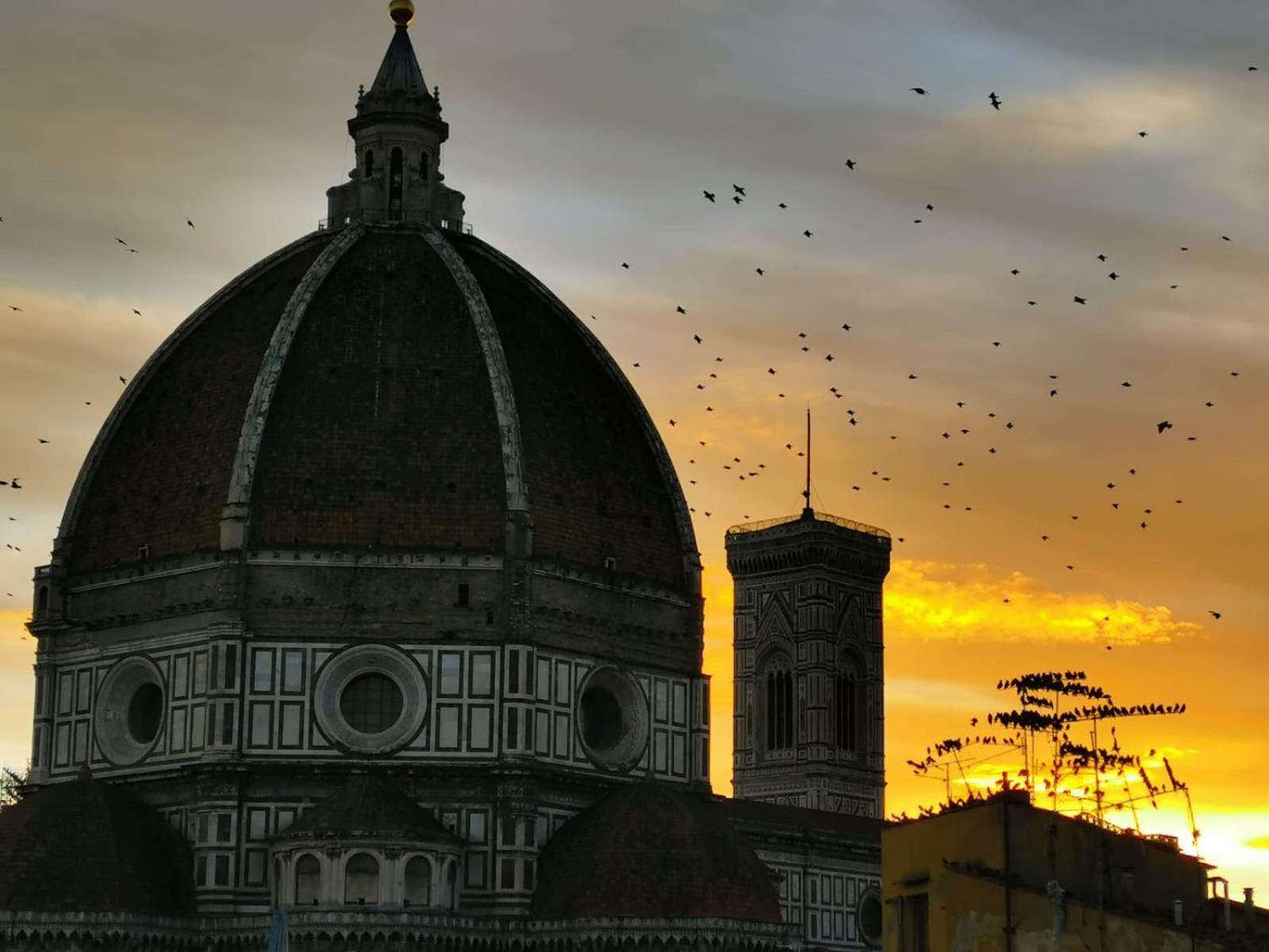 Duomo Studio ฟลอเรนซ์ ภายนอก รูปภาพ